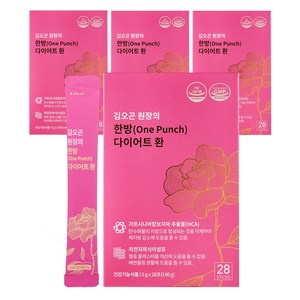 김오곤원장의 한방 다이어트 환 28포_체지방 감소 차전자피 가르시니아 식이섬유, 4박스, 140g