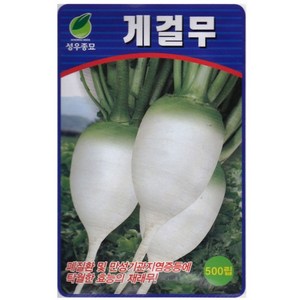 영농사 게걸무 씨앗 500립 성우종묘 가을무씨