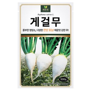 다농 씨앗애 게걸무 씨앗 500p