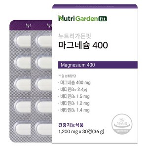 뉴트리가든핏 마그네슘 400