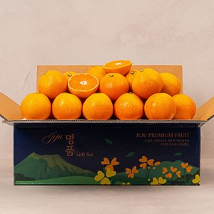 고당도 제주 서귀포 감귤, 1박스, 감귤 10kg(M/L)로얄중과