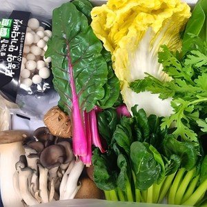 야채왕 샤브샤브 모듬야채버섯세트 1kg, 1개, 1kg