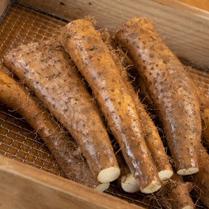 안동 태산농장 2025햇마 장마, 1박스, 2kg (b.장마알뜰)