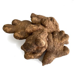 태산농장 2025햇마 산마 못난이 흠집 마 특가 판매, 1개, 5kg