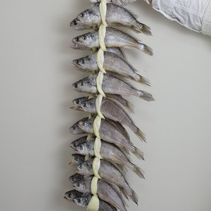 (재주문 높음)산지직송 법성포 영광굴비 가정용세트 20미 1.4kg, 법성포 영광굴비 가정용세트 20미 2.2kg, 1세트