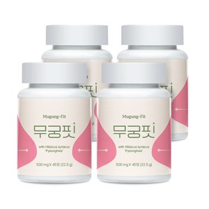 [본사출고] 무궁핏, 45정, 4개
