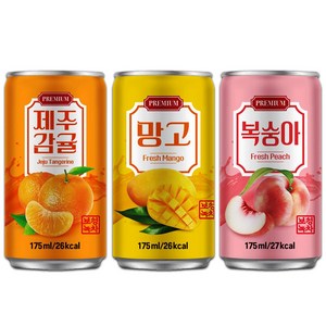 [중앙몰] 다인 서편제 복숭아+제주감귤+망고 175ml 각10개 총30캔