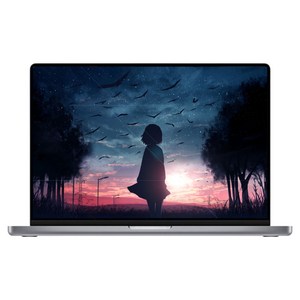 중고 애플 맥북프로 2021 M1 PRO 10코어 32GB SSD 512GB A2485 16인치 스페이스 그레이, 맥북프로 A2485, MAC OS, 32GB, 512GB, 스페이스 그레이