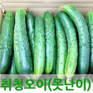 국내산 오이 실속형 못난이 취청오이 1kg 2kg 3kg 4kg 5kg 10kg