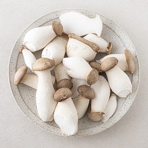 [로켓프레시] 못생겨도 맛있는 미니 새송이버섯