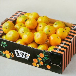 블랙홀 타이벡 재배 12brix 감귤, 1박스, 2.5kg(로열과)