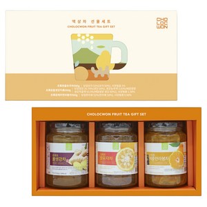초록원 액상차 3종 선물세트 + 쇼핑백