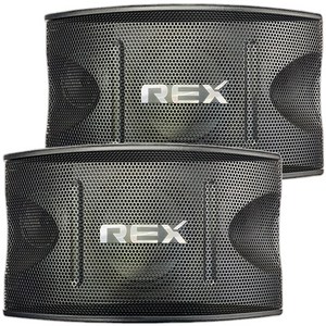노래방 스피커 REX 시리즈 3종(6/8/10인치) 매장 카페 업소 가정용 1조(2개), YCSM, 10인치 (RX-100)
