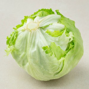 국내산 양상추