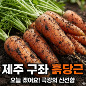 [오늘캤어요] 극강의 신선함 제주 구좌당근, 1박스, 품절임박 10kg(중)