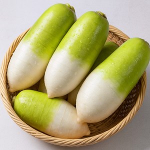 국산 제철 햇무 겨울 제주 월동무 ( 맛있는 제주 월동무), 1박스, 무 3kg 내외
