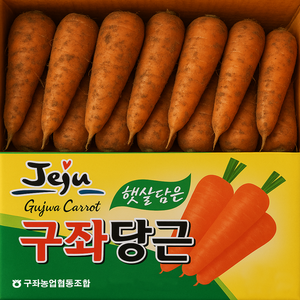 유명산지 달콤아삭 제주 구좌당근, 1박스, 2kg(중)