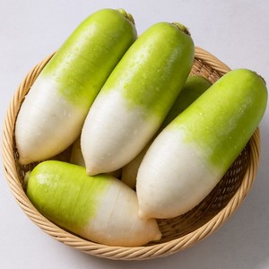 국산 제철 햇무 겨울 제주 월동무 ( 맛있는 제주 월동무), 1박스, 무 5kg 내외