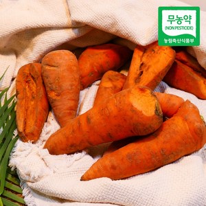 잇츠어글리 친환경 국내산 무농약 주스용 실속당근