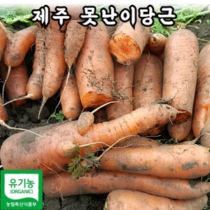 국내산 친환경 못난이 햇 흙 당근 주스용
