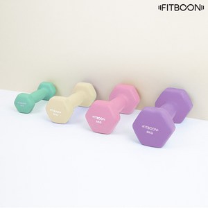 핏분 네오프렌 캔디아령 홈트레이닝 다이어트 미용 여자 덤벨 1kg FB-DUM401 ~ 4, 1개, 2kg