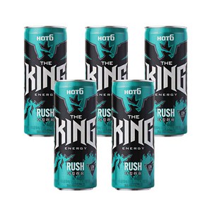 무료배송 롯데 핫식스더킹 러쉬 355ml 24캔 소비기한은 26년 4월