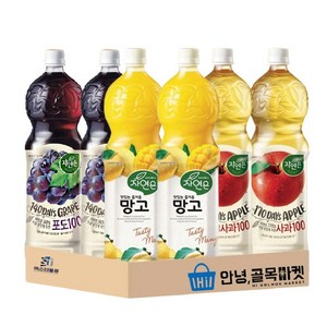 자연은 1.5L 음료수 세트 포도 사과 망고 각 2개씩, 1세트, 1.5L