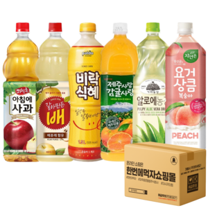 [한번에먹자쇼핑몰] 6종 혼합세트 / 해태음료 아침에사과 갈아만든 배 팔도 비락식혜 제주감귤 알로에 웅진 요거상큼 복숭아 총 6개