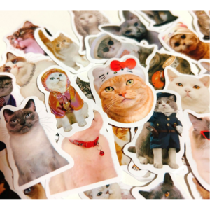 헤이즈 고양이 스티커 120종 희귀한 고양이 스티커