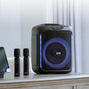 더씽 80W 휴대용 무선 스피커 블루투스 듀얼 마이크 노래방 행사용 세트