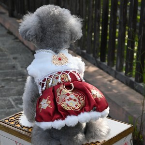 반려동물 강아지 고양이 겨울 명절 애견한복