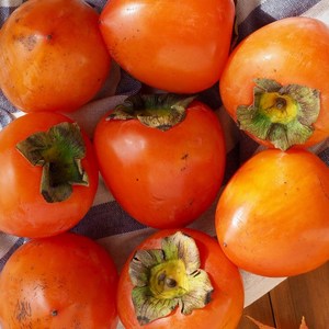 [Fluxi] 국내산 대봉 홍시용 대봉감 특대과 5kg 11-15과