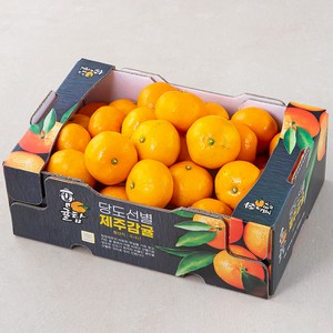 [로켓프레시] 귤탐 당도선별 12Brix 하우스감귤