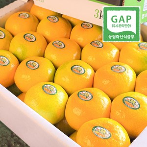 불로초 감귤 초고당도 명품 제주귤 [우월한농수산], 1개, 3kg