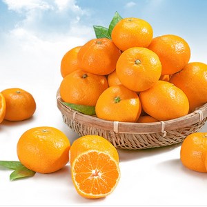 다사모농장 저농약 제주감귤 10kg-15kg 귤
