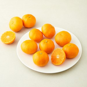 [로켓프레시] 새콤달콤 레드향