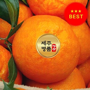 [단하루초특가] 재구매1위 고당도 제주도 레드향, 1개, 제주도 레드향 10kg-(고당도)