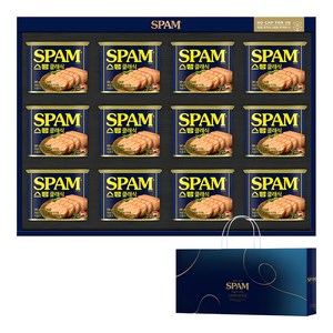 스팸 선물세트 1호 + 쇼핑백