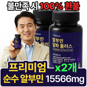 코어앤데이 프리미엄 순수 알부민 알파플러스+ HACCP인증, 2개, 120정