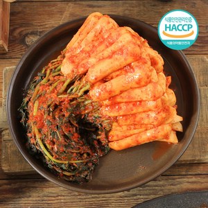 당일제조 전라도 총각김치, 5kg, 1개