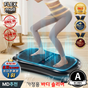 플렉스몰 덜덜이 가정용 다이어트 유산소 실내운동 전신 전동 홈트 진동 운동기구 바디슬리머