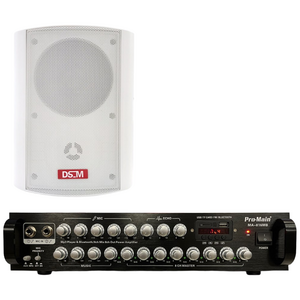 프로메인 MA-816MB 8채널 앰프 800W 출력 매장용앰프 카페앰프 블루투스앰프 DS-520 스피커세트