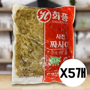 사천 짜사이