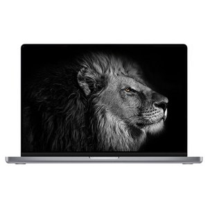 중고 애플 맥북프로 2021 14인치 M1 PRO A2442 16GB 512GB 스페이스 그레이 B급 특가 상품, 애플 맥북프로 A2442, MAC OS, 16GB, 512GB, 스페이스 그레이